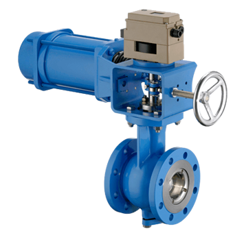 Rotary Control Valves